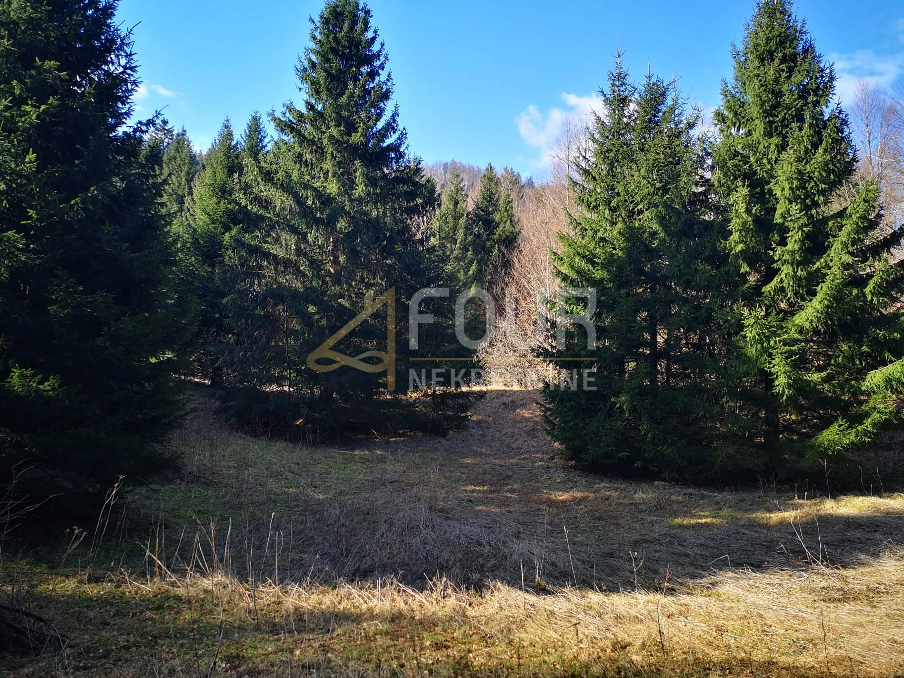 gorski kotar, lokve, poljoprivredno zemljište 22.210m2 - slika 4