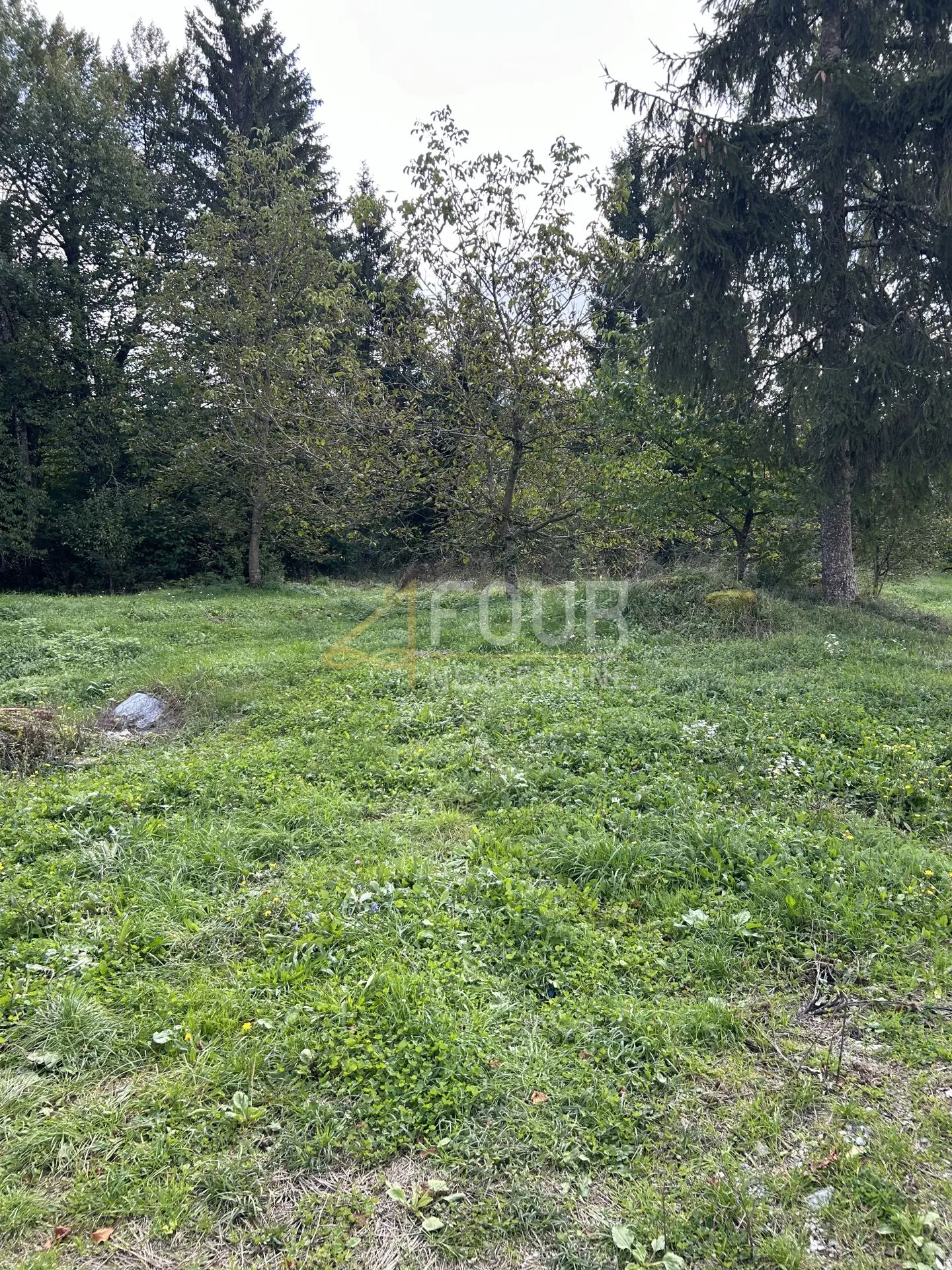 gorski kotar, delnice, građevinsko zemljište 2.436m2 - slika 3