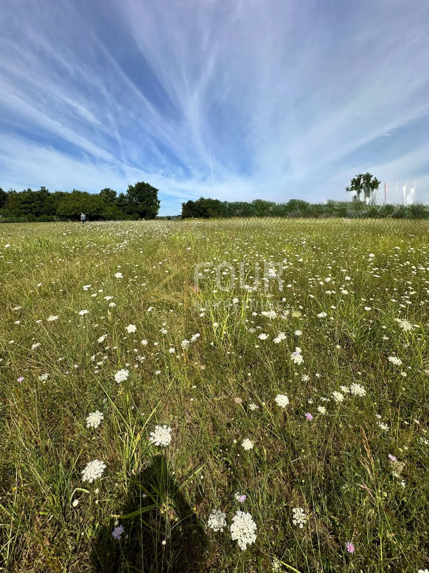 istra, barban - okolica, građevinsko- poljoprivredno zemljište, 1185m2 - slika 3