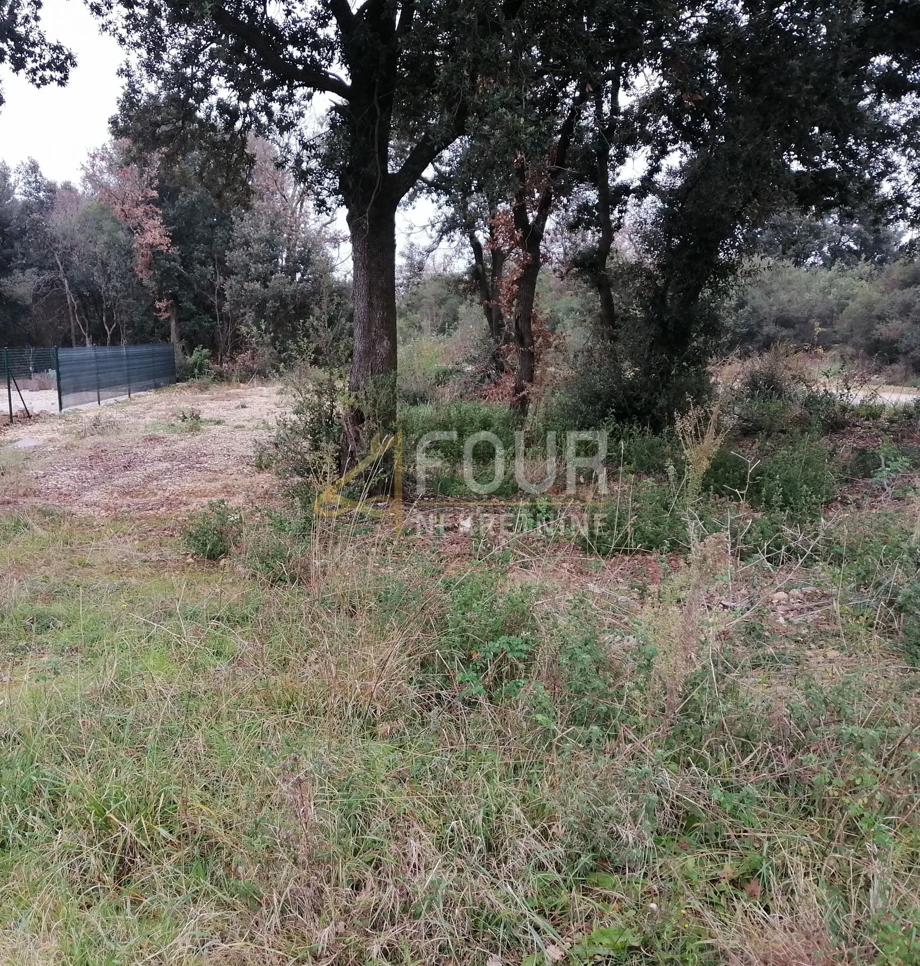 Istra, Vodnjan - okolica, poljoprivredno zemljište 432m2, blizina mora