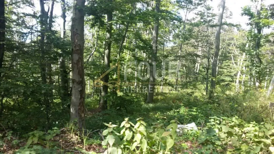 škrljevo, poljoprivredno zemljište 29.685m2 - slika 2