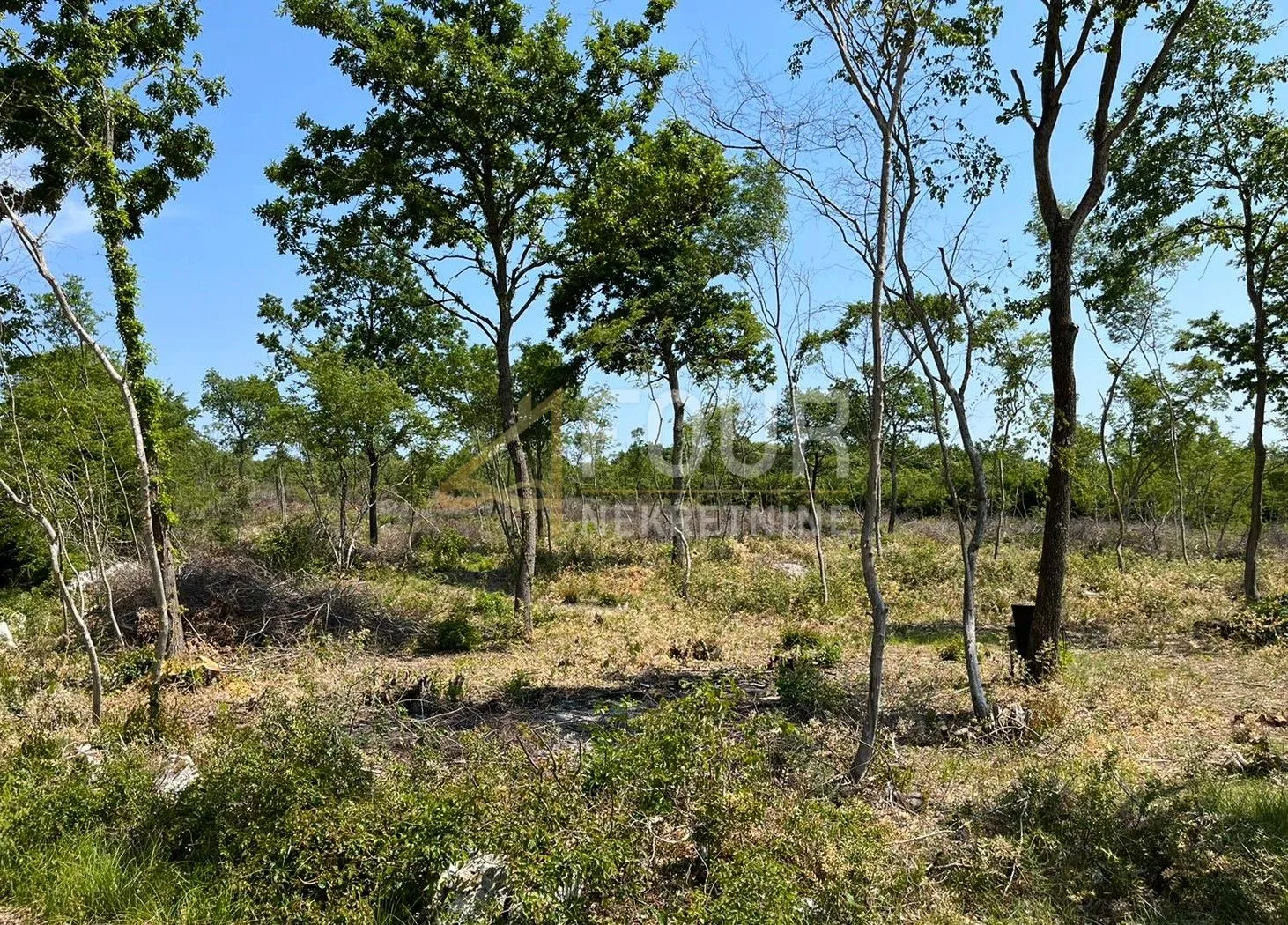 Istra, Bale, poljoprivredno zemljište 26.697m2