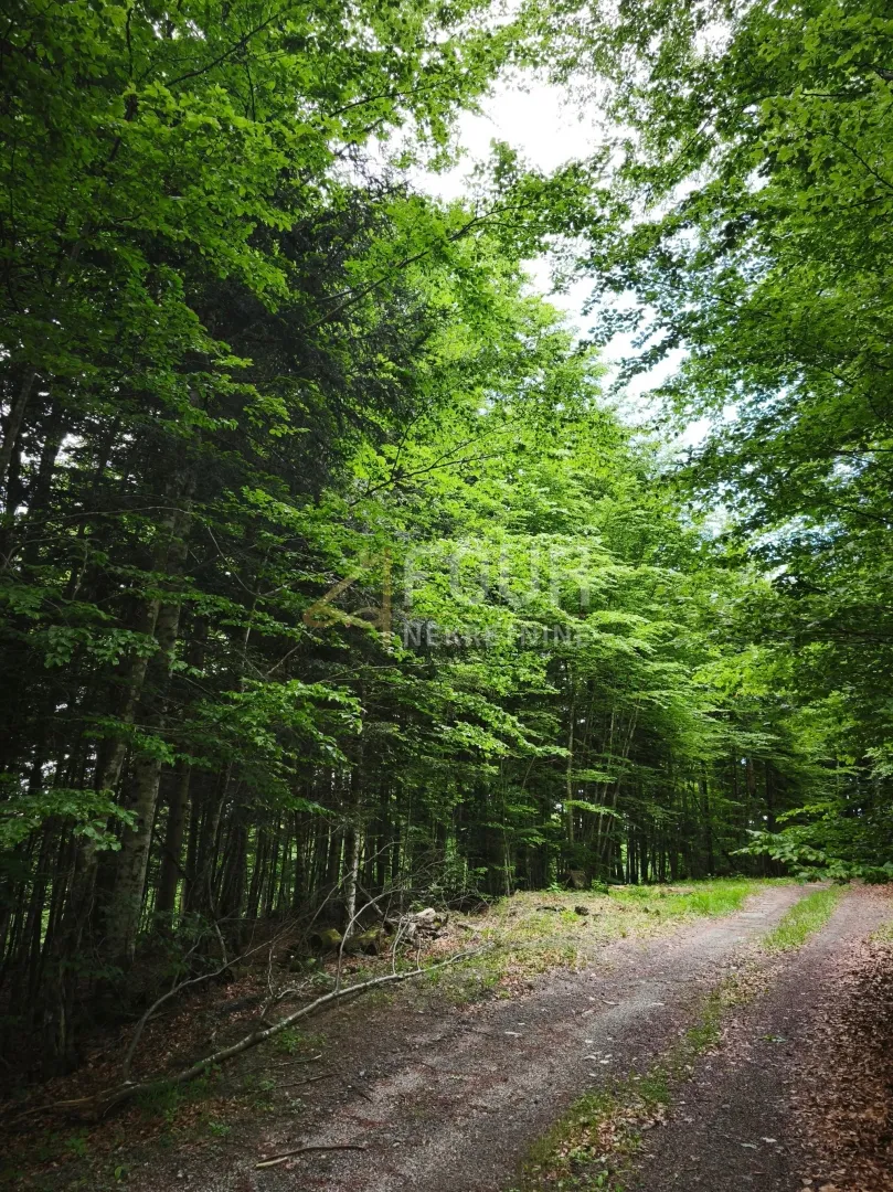 gorski kotar, vrbovsko - okolica, zemljište 17.835m2 - slika 3
