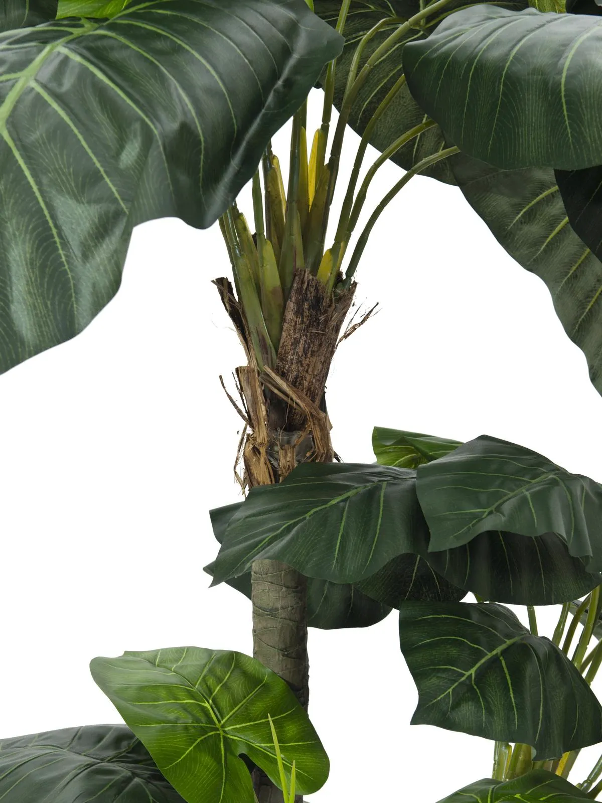 europalms pothos palm, luxor, 175cm - slika 2