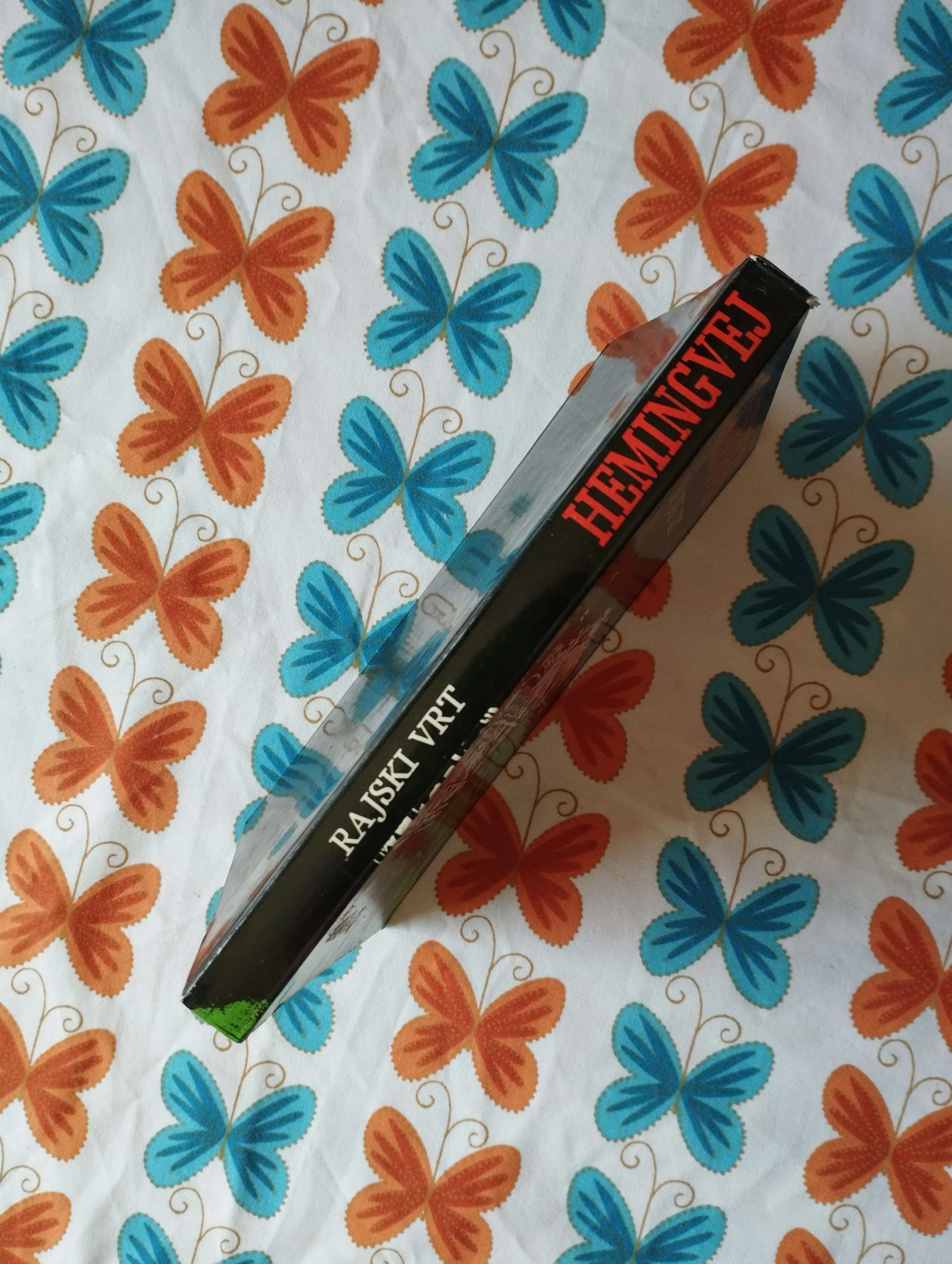 ernest hemingway - rajski vrt - slika 3