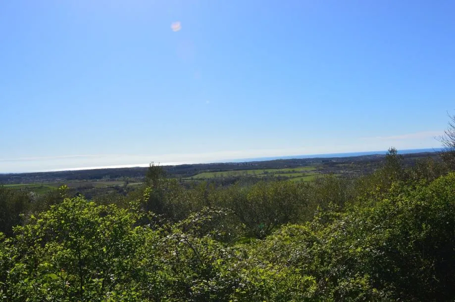 buje građevinsko zemljište sa panoramskim pogledom na more - slika 9