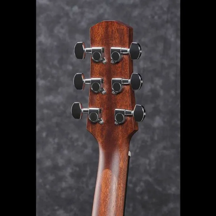 ibanez aad100 opn - slika 6