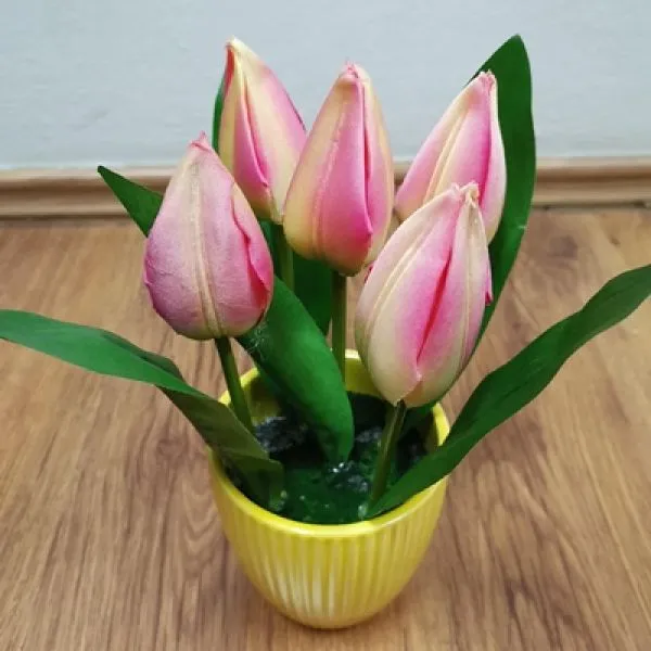 Umjetni tulipani u tegli - Zagreb, Novi Zagreb - istok