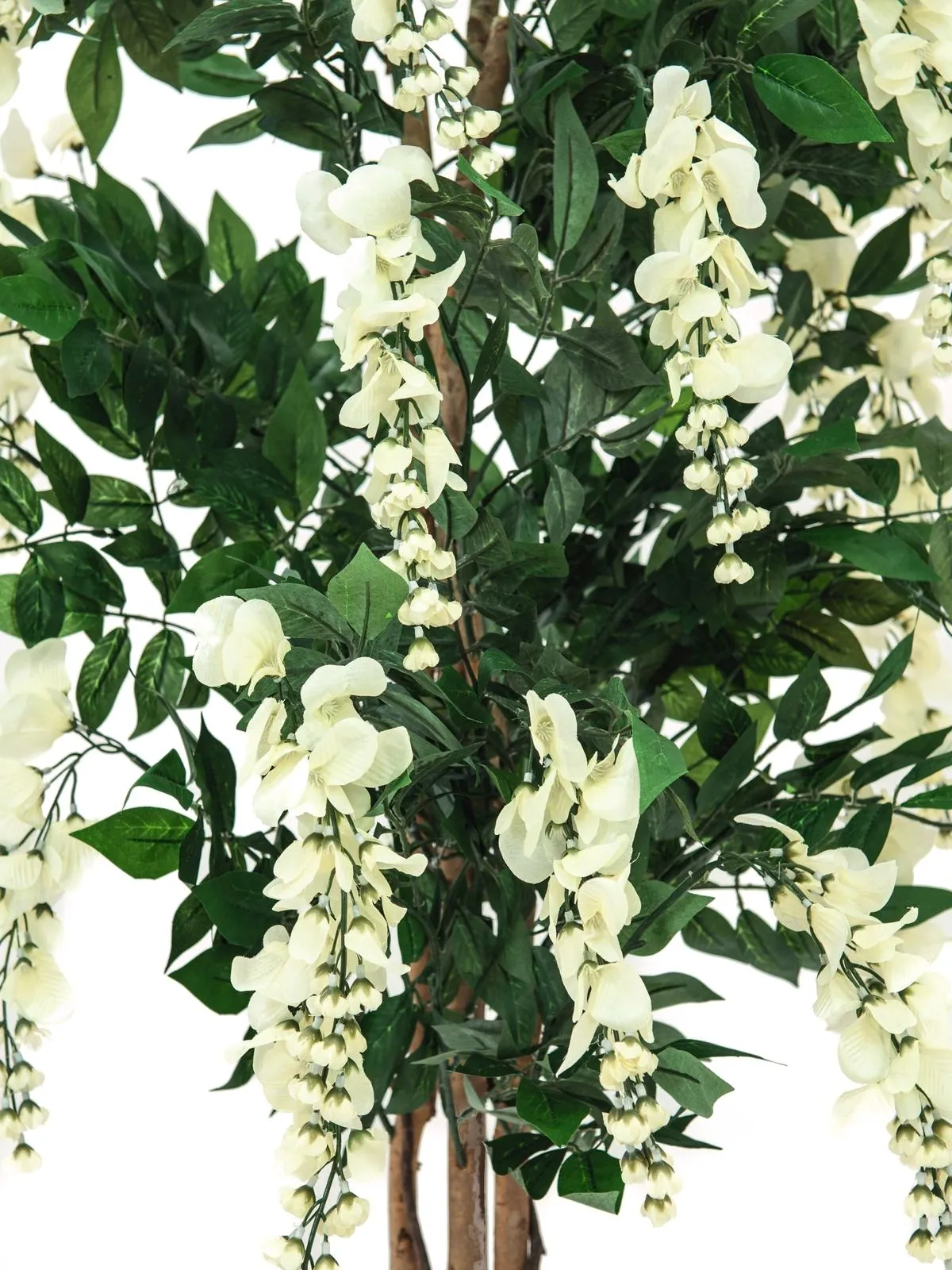 europalms wisteria, white, 180cm - slika 2