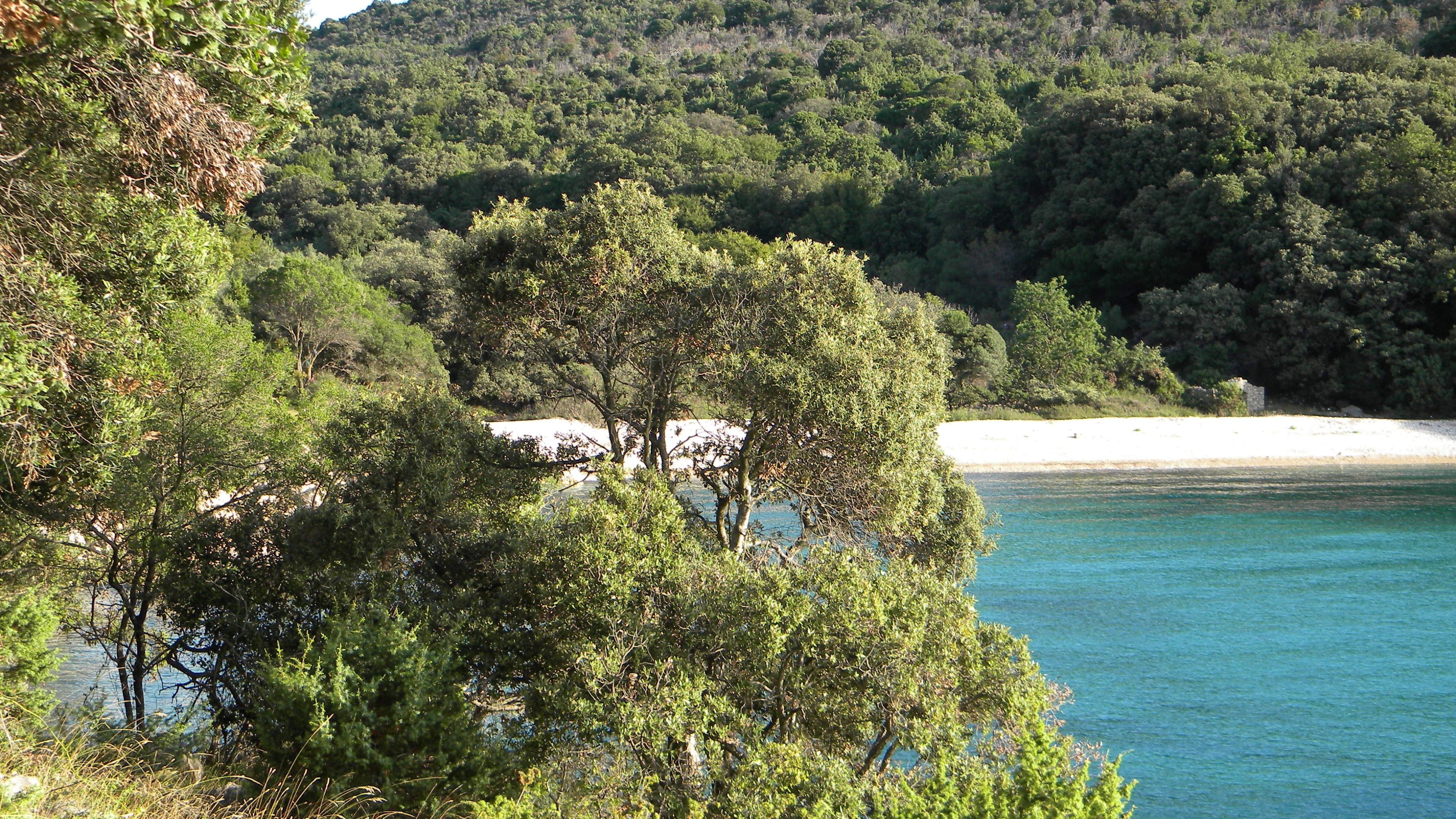 otok cres poljoprivredno zemljište u blizini mora, 200m2, 7000eur - slika 3