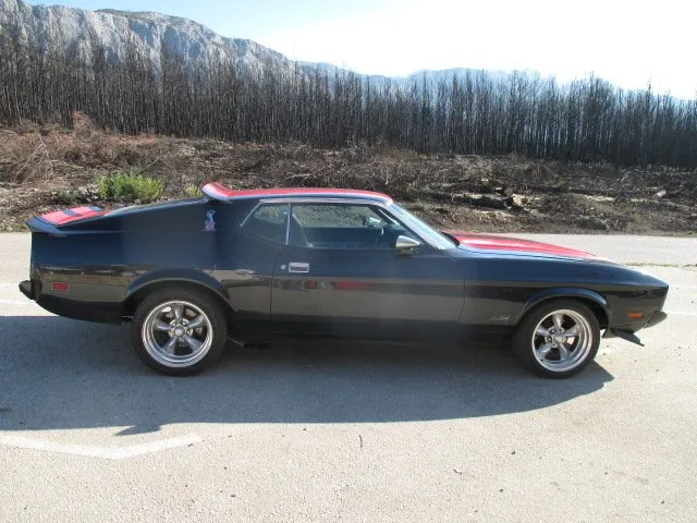 mustang mach 1,429cj - slika 4