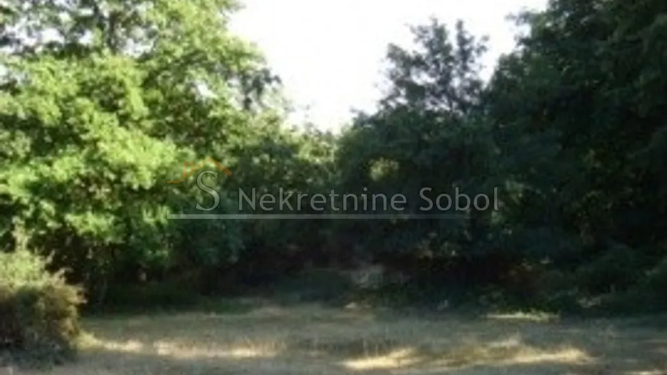 cres, beli - poljoprivredno, 47534 m2 prodaja - slika 4