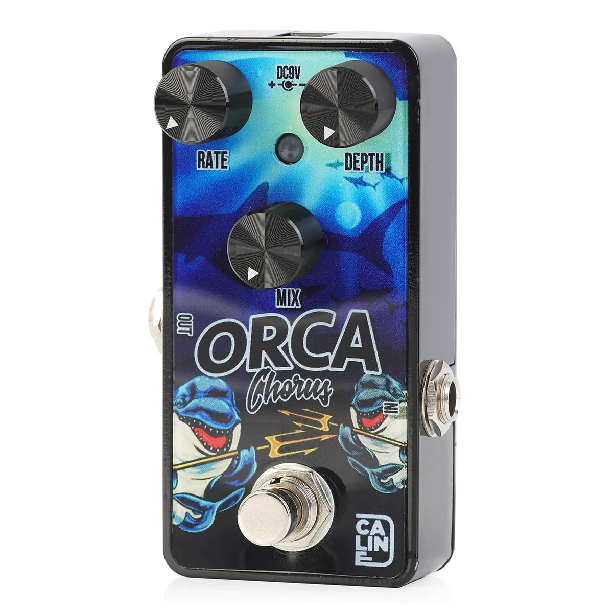 Caline G003 Orca Chorus - Zagreb