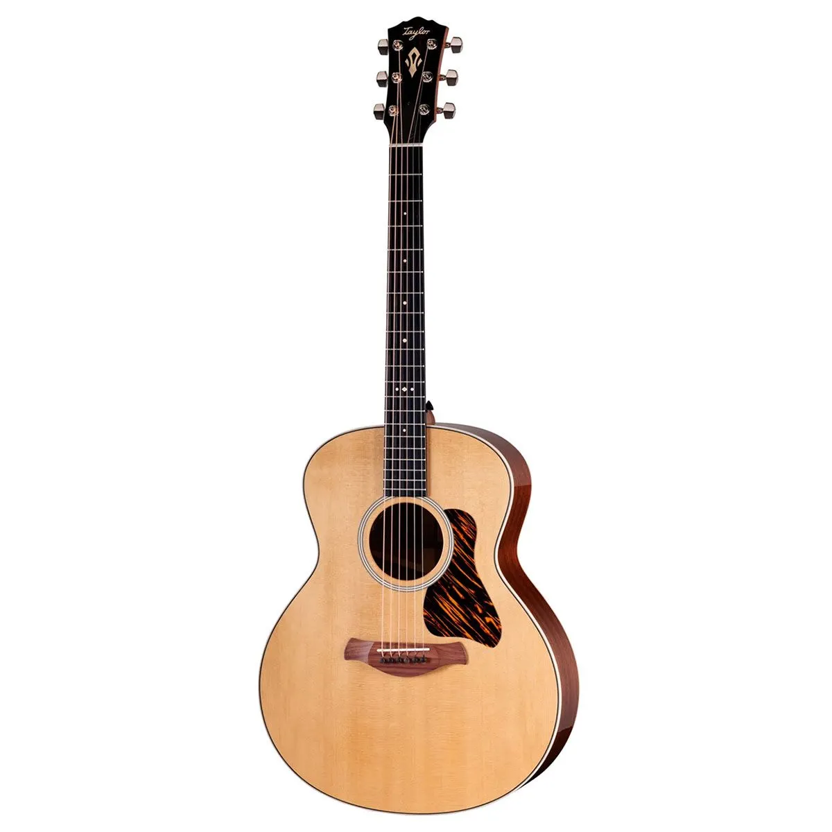 TAYLOR GOLD LABEL 514e NATURAL TOP - Zagreb