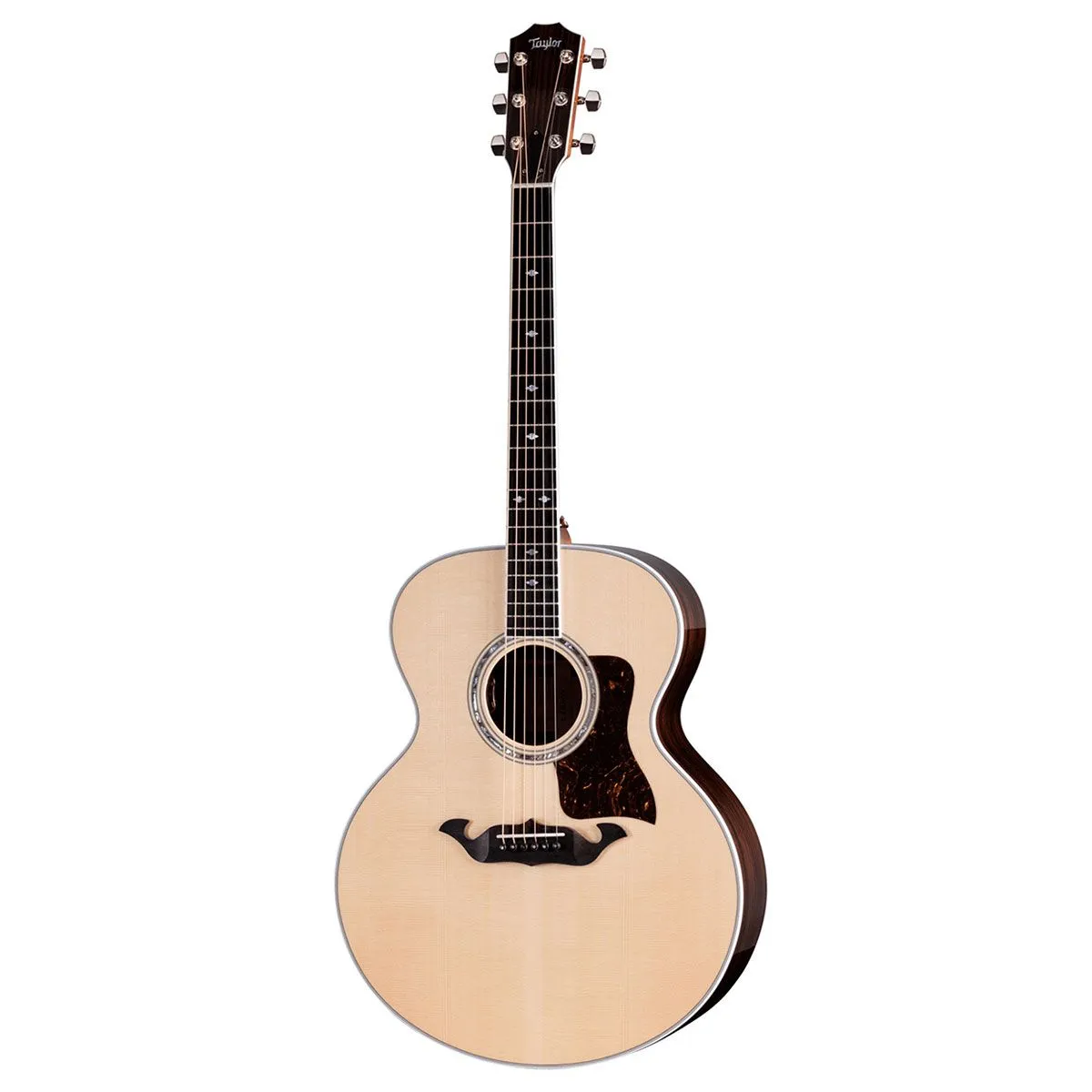 TAYLOR LEGACY 815e - Zagreb