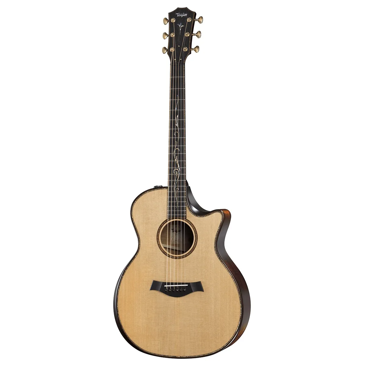TAYLOR K14ce BUILDER'S EDITION - Zagreb