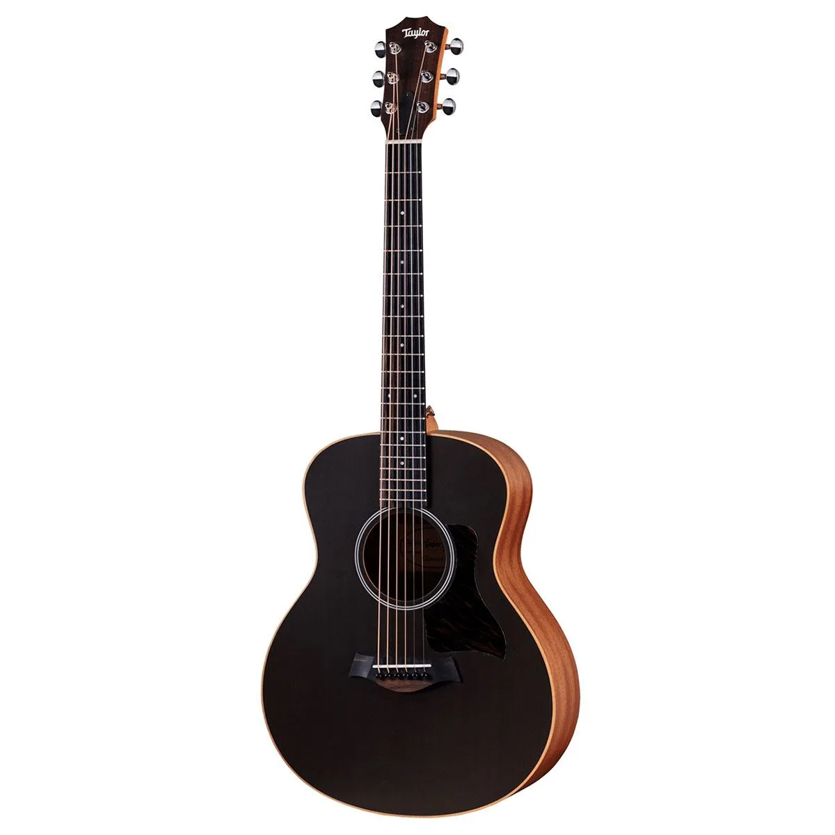 TAYLOR GS MINI-e SPECIAL EDITION TRANS BLACK - Zagreb