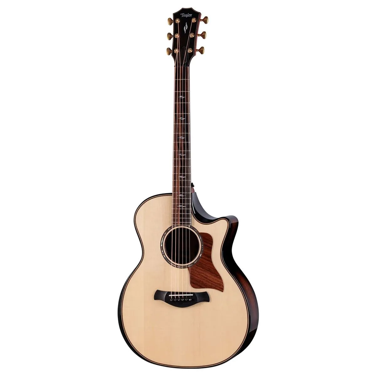 TAYLOR 814ce BUILDER'S EDITION NEXT GENERATION - Zagreb