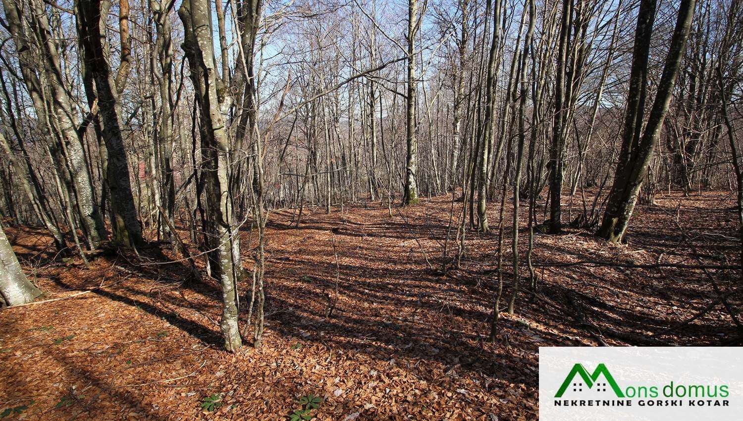 na najvišoj točki vikend naselja - slika 3