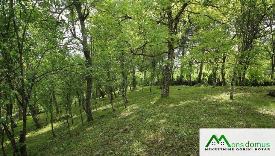 stara kuća na krasnim, voltanim podrumima (prodaja) - slika 14