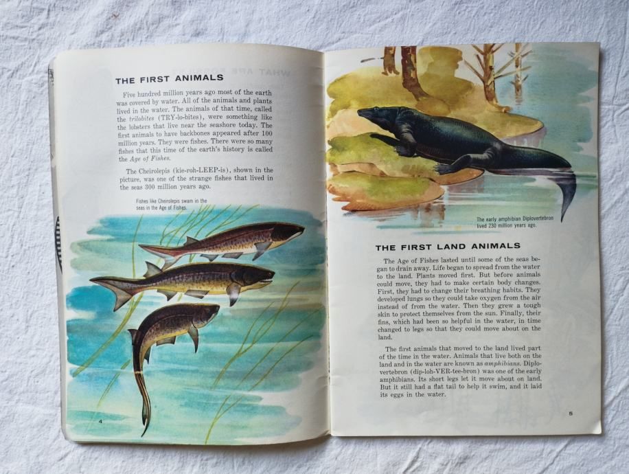 ware, sutherland, ostrom - let`s read about prehistoric animals - slika 5