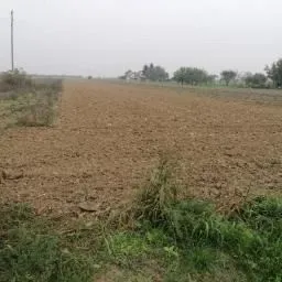 građevinsko zemljište, darda, 1893 m2 - slika 2
