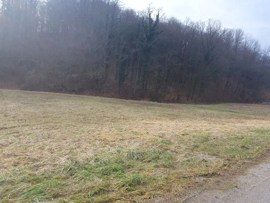 građevinsko zemljište, luka, žejinci, 1270 m2 - slika 4