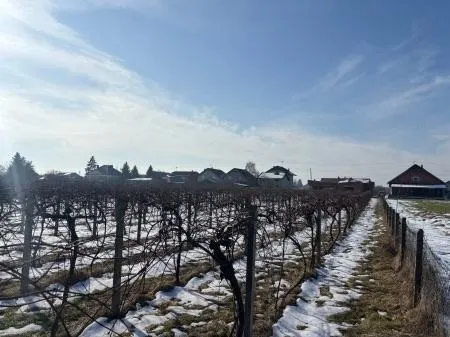 građevinsko zemljište sa zgradom, dravska ulica, josipovac, 3000 m2 - slika 13