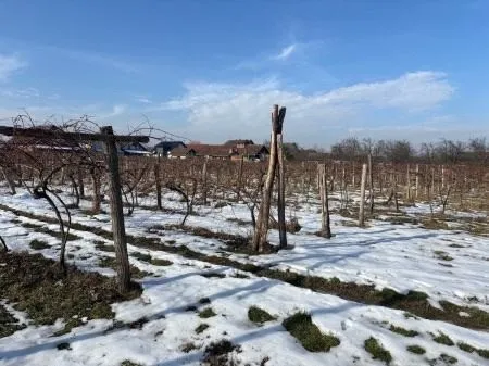 građevinsko zemljište sa zgradom, dravska ulica, josipovac, 3000 m2 - slika 15