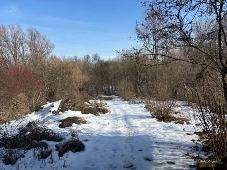 građevinsko zemljište sa zgradom, dravska ulica, josipovac, 3000 m2 - slika 18