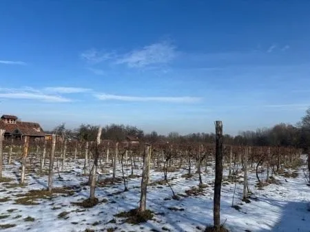 građevinsko zemljište sa zgradom, dravska ulica, josipovac, 3000 m2 - slika 11