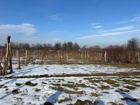 građevinsko zemljište sa zgradom, dravska ulica, josipovac, 3000 m2 - slika 8