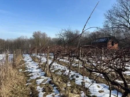 građevinsko zemljište sa zgradom, dravska ulica, josipovac, 3000 m2 - slika 14