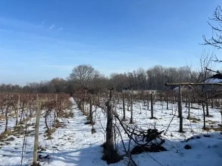 građevinsko zemljište sa zgradom, dravska ulica, josipovac, 3000 m2 - slika 12