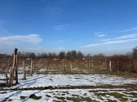 građevinsko zemljište sa zgradom, dravska ulica, josipovac, 3000 m2 - slika 9