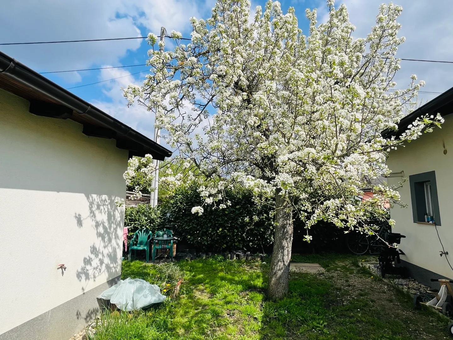na prodaju – dvije šarmantne kućice(112m2) u cvijeću! - slika 2