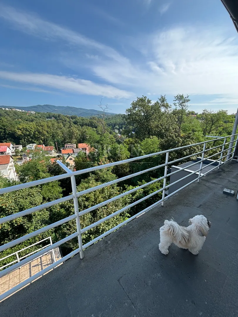 stan zagreb sveti duh, 161 m2 bruto, prilika - slika 7