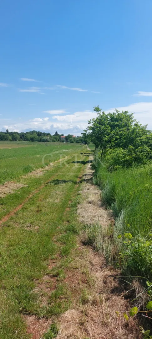 kućica sa velikim građevinskim zemljištem - slika 4