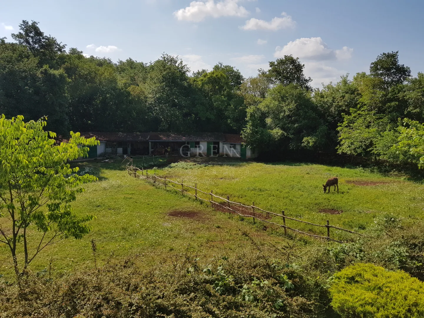 lijepo imanje, žminj okolica, 10000 m2, prodaja - slika 4