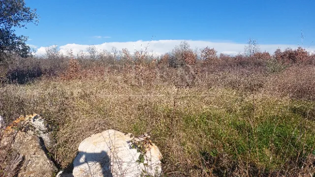 građevinsko zemljište 4 km od poreča - slika 3
