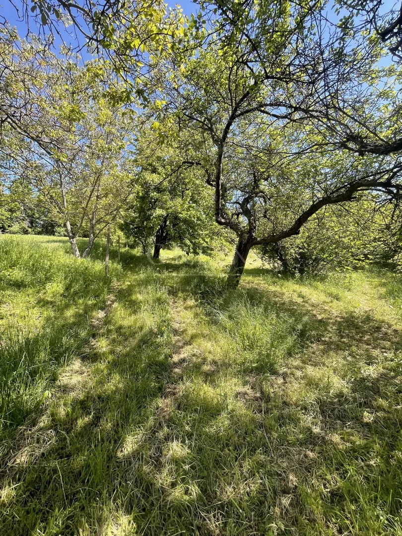 građevinsko zemljište dankovec gornja dubrava, 3607 m2, prodaja - slika 4