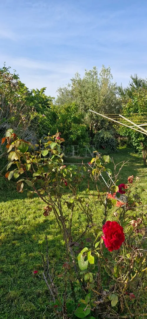 istarska kamena kuća sa pogledom na more - slika 6