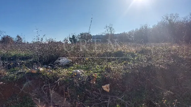 građevinsko zemljište 4 km od poreča - slika 7