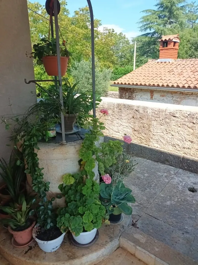 kamena kuća za obnovu sa velikom okućnicom - slika 7