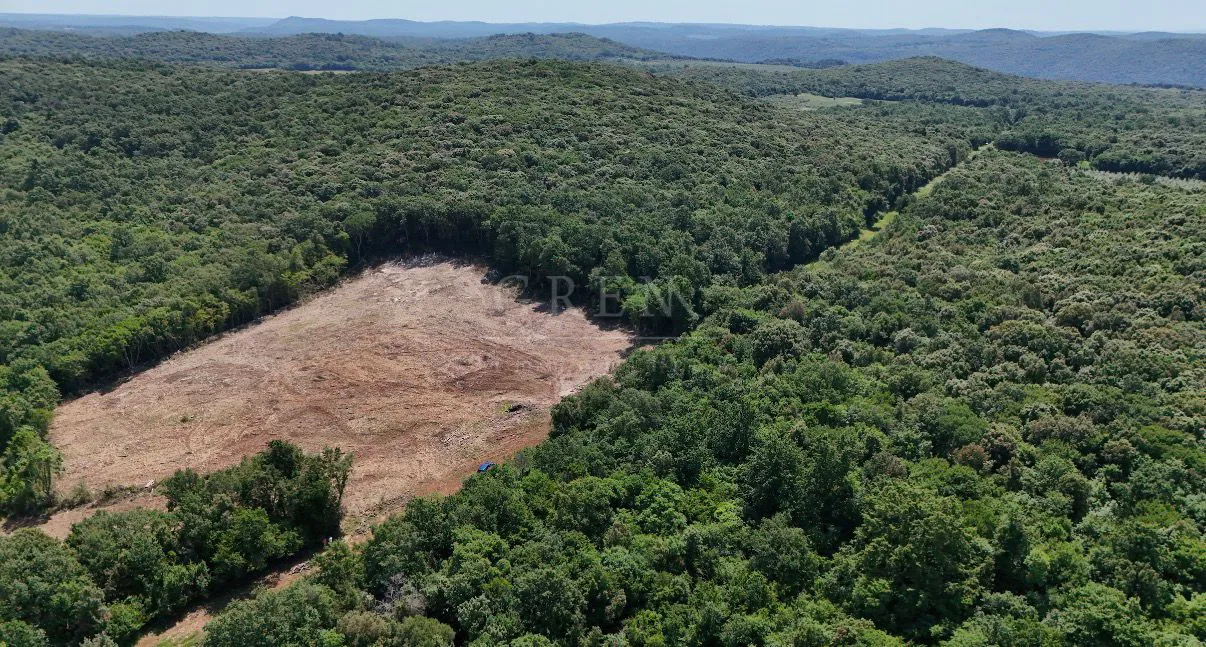 prodaje se poljoprivredno zemljište u vrsaru - slika 6