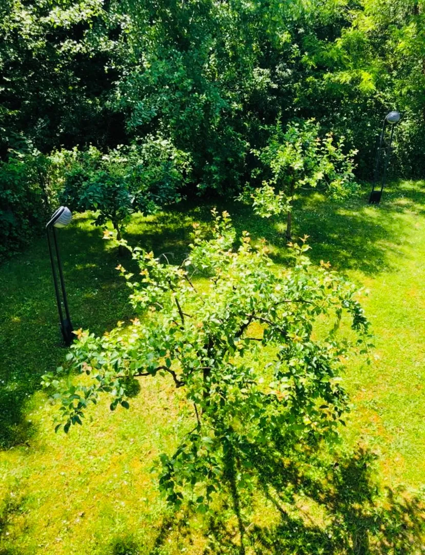 pantovčak – luksuzna vila(425m2), s bazenom,prodaja! - slika 5
