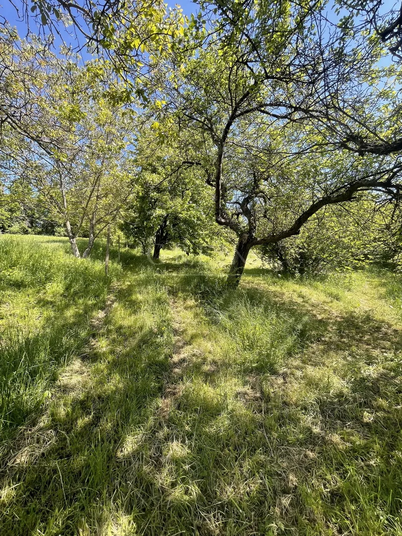 građevinsko zemljište dankovec gornja dubrava, 3607 m2, prodaja - slika 4