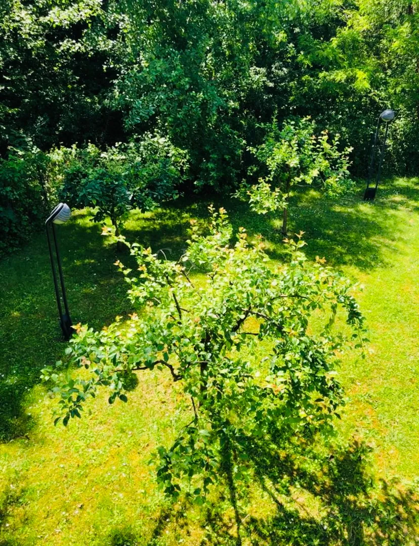 pantovčak – luksuzna vila(425m2), s bazenom,prodaja! - slika 5