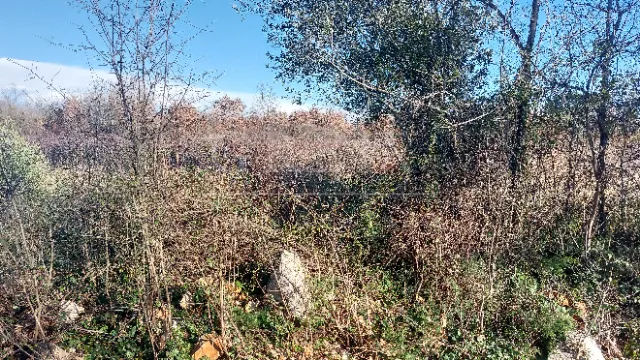 građevinsko zemljište 4 km od poreča - slika 4