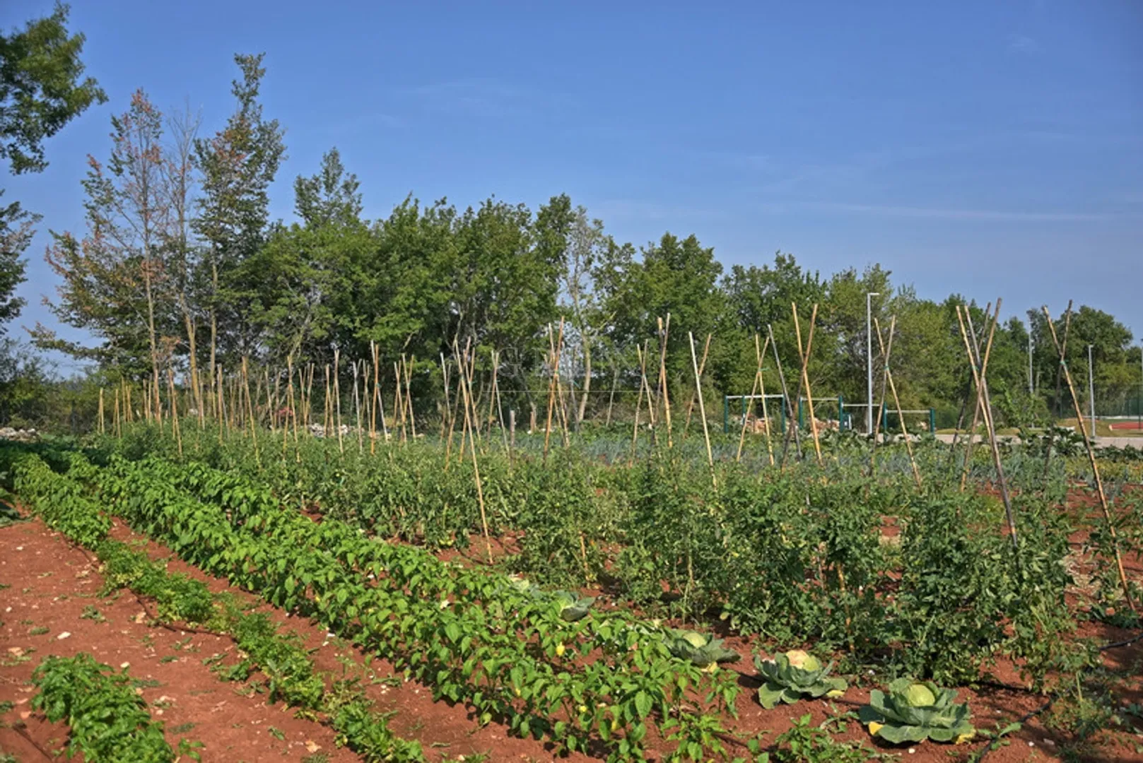 luksuzna vila sa bazenom, kanfanar, 372 m2 - slika 23